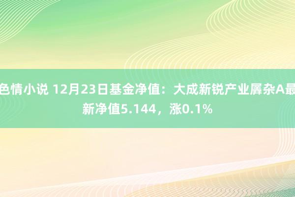 色情小说 12月23日基金净值：大成新锐产业羼杂A最新净值5.144，涨0.1%