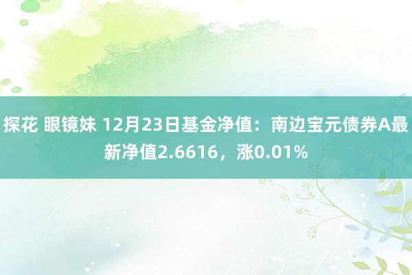 探花 眼镜妹 12月23日基金净值：南边宝元债券A最新净值2.6616，涨0.01%