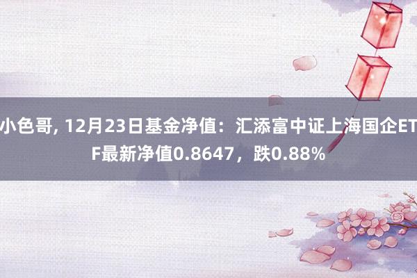 小色哥， 12月23日基金净值：汇添富中证上海国企ETF最新净值0.8647，跌0.88%