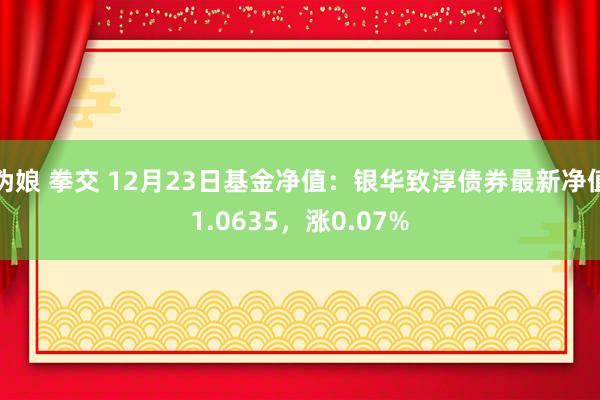 伪娘 拳交 12月23日基金净值：银华致淳债券最新净值1.0635，涨0.07%