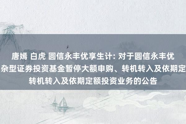 唐嫣 白虎 圆信永丰优享生计: 对于圆信永丰优享生计活泼建树羼杂型证券投资基金暂停大额申购、转机转入及依期定额投资业务的公告