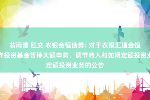 翁雨澄 肛交 农银金恒债券: 对于农银汇理金恒债券型证券投资基金暂停大额申购、调节转入和如期定额投资业务的公告