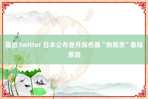 露出 twitter 日本公布登月探伤器“倒栽葱”着陆原因