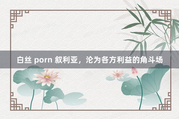 白丝 porn 叙利亚，沦为各方利益的角斗场