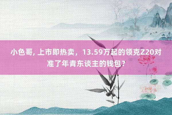 小色哥， 上市即热卖，13.59万起的领克Z20对准了年青东谈主的钱包？