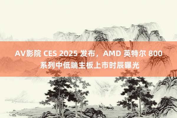 AV影院 CES 2025 发布，AMD 英特尔 800 系列中低端主板上市时辰曝光