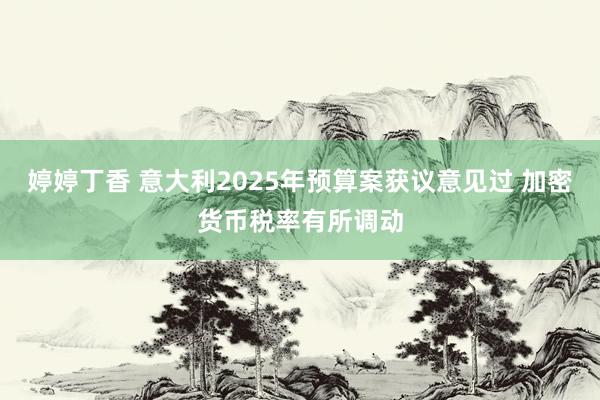 婷婷丁香 意大利2025年预算案获议意见过 加密货币税率有所调动