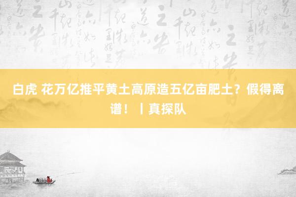 白虎 花万亿推平黄土高原造五亿亩肥土？假得离谱！丨真探队