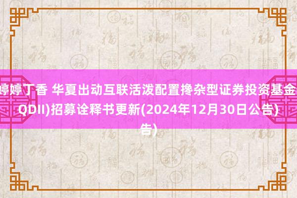 婷婷丁香 华夏出动互联活泼配置搀杂型证券投资基金(QDII)招募诠释书更新(2024年12月30日公告)