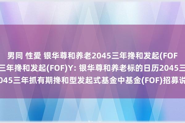 男同 性愛 银华尊和养老2045三年搀和发起(FOF)A，银华尊和养老2045三年搀和发起(FOF)Y: 银华尊和养老标的日历2045三年抓有期搀和型发起式基金中基金(FOF)招募说明书更新(2024年第2号)