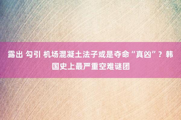 露出 勾引 机场混凝土法子或是夺命“真凶”？韩国史上最严重空难谜团