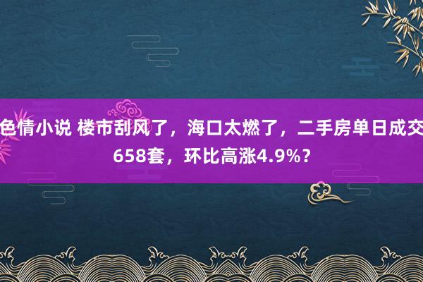 色情小说 楼市刮风了，海口太燃了，二手房单日成交658套，环比高涨4.9%？