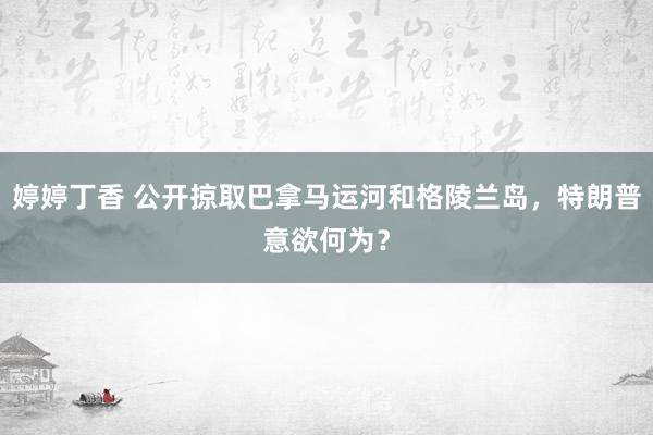 婷婷丁香 公开掠取巴拿马运河和格陵兰岛，特朗普意欲何为？