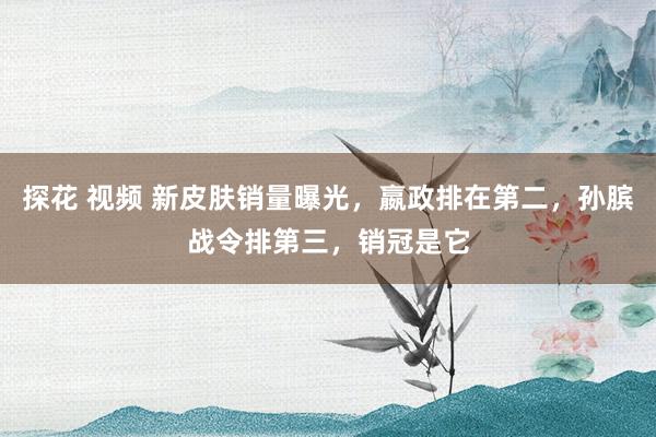 探花 视频 新皮肤销量曝光，嬴政排在第二，孙膑战令排第三，销冠是它