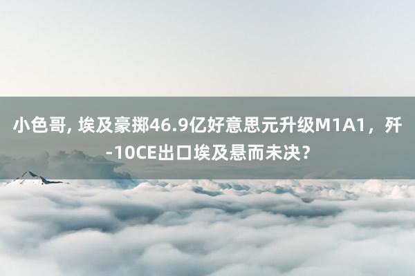 小色哥， 埃及豪掷46.9亿好意思元升级M1A1，歼-10CE出口埃及悬而未决？