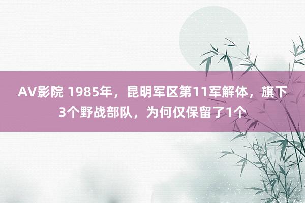 AV影院 1985年，昆明军区第11军解体，旗下3个野战部队，为何仅保留了1个