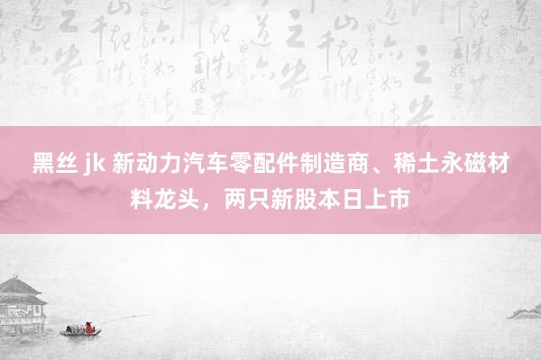 黑丝 jk 新动力汽车零配件制造商、稀土永磁材料龙头，两只新股本日上市