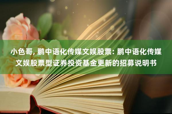 小色哥， 鹏中语化传媒文娱股票: 鹏中语化传媒文娱股票型证券投资基金更新的招募说明书