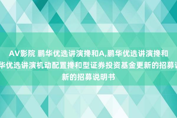 AV影院 鹏华优选讲演搀和A，鹏华优选讲演搀和C: 鹏华优选讲演机动配置搀和型证券投资基金更新的招募说明书