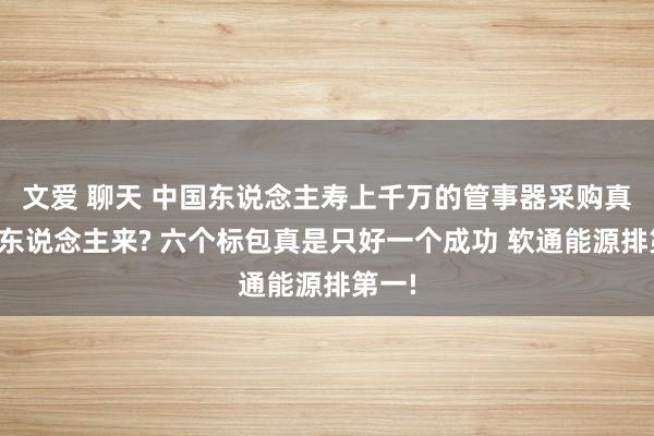 文爱 聊天 中国东说念主寿上千万的管事器采购真是没东说念主来? 六个标包真是只好一个成功 软通能源排第一!