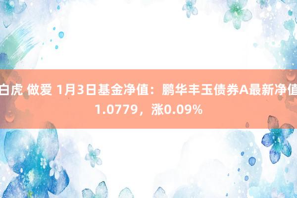 白虎 做爱 1月3日基金净值：鹏华丰玉债券A最新净值1.0779，涨0.09%