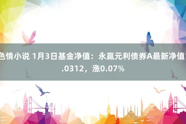 色情小说 1月3日基金净值：永赢元利债券A最新净值1.0312，涨0.07%