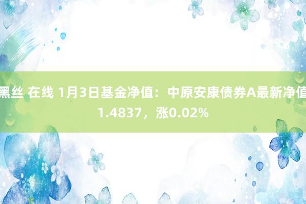 黑丝 在线 1月3日基金净值：中原安康债券A最新净值1.4837，涨0.02%