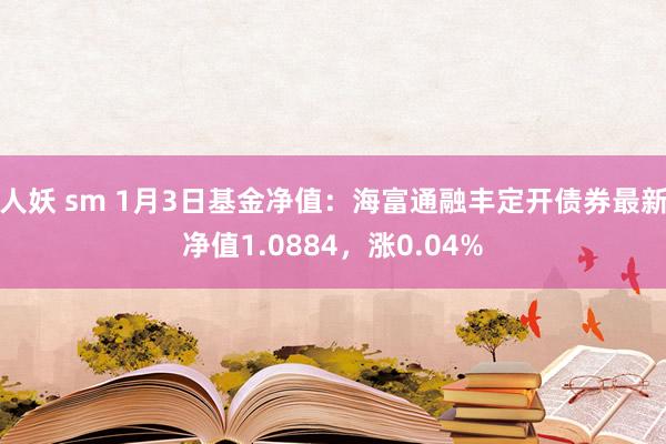 人妖 sm 1月3日基金净值：海富通融丰定开债券最新净值1.0884，涨0.04%