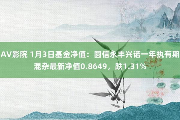 AV影院 1月3日基金净值：圆信永丰兴诺一年执有期混杂最新净值0.8649，跌1.31%