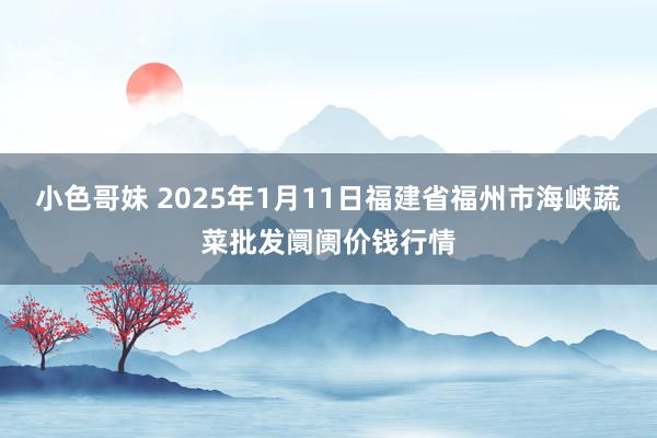 小色哥妹 2025年1月11日福建省福州市海峡蔬菜批发阛阓价钱行情