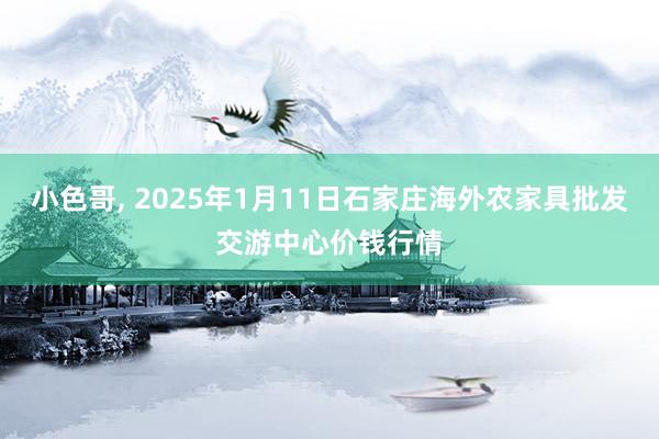 小色哥， 2025年1月11日石家庄海外农家具批发交游中心价钱行情