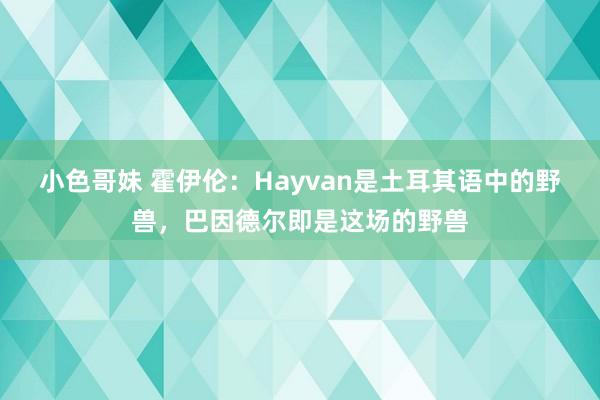 小色哥妹 霍伊伦：Hayvan是土耳其语中的野兽，巴因德尔即是这场的野兽