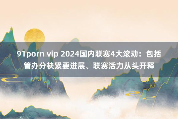 91porn vip 2024国内联赛4大滚动：包括管办分袂紧要进展、联赛活力从头开释