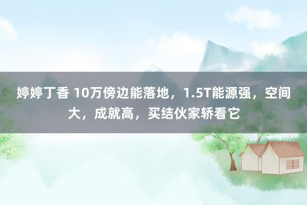 婷婷丁香 10万傍边能落地，1.5T能源强，空间大，成就高，买结伙家轿看它