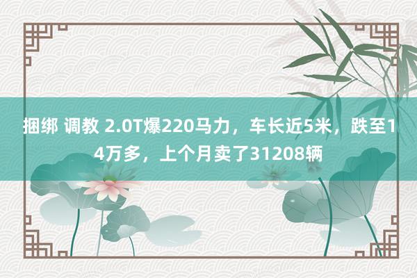 捆绑 调教 2.0T爆220马力，车长近5米，跌至14万多，上个月卖了31208辆