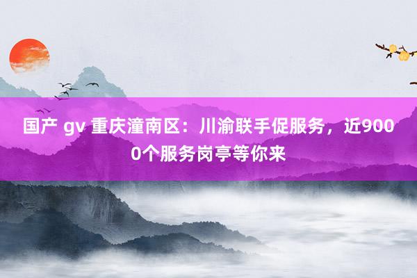 国产 gv 重庆潼南区：川渝联手促服务，近9000个服务岗亭等你来